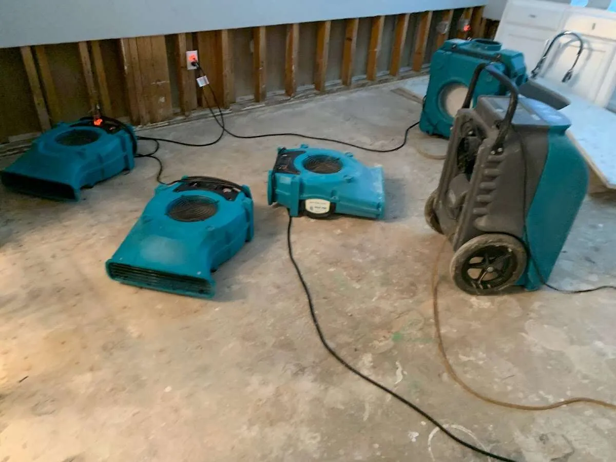 Water Damage Restoration services in Mount Pleasant, WI